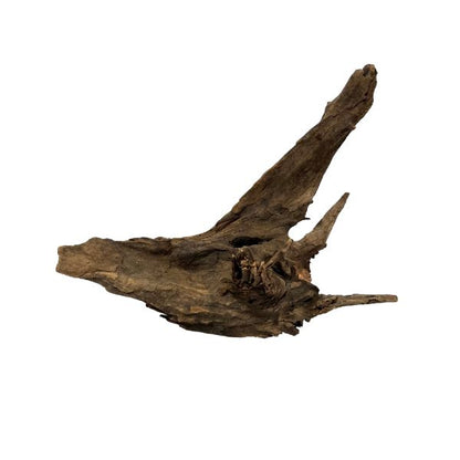 Congo Wood Driftwood