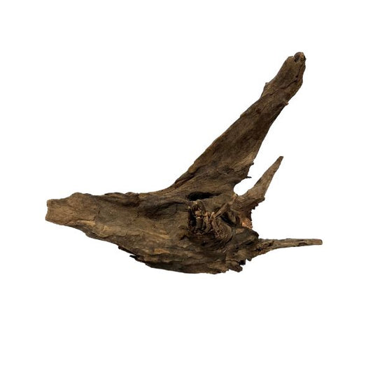 Congo Wood Driftwood