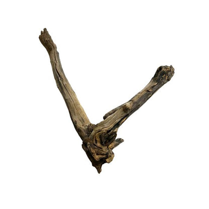 Congo Wood Driftwood