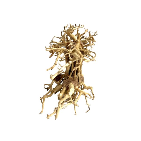 Yocemite Bonsai Tree Driftwood - 6&quot;