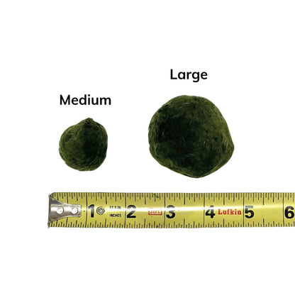 Moss Ball
