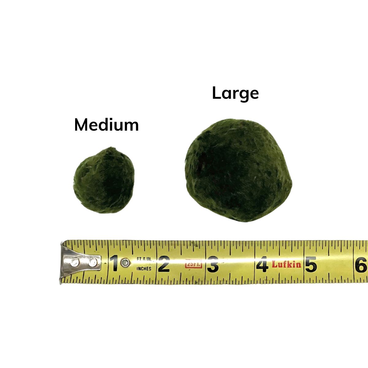 Moss Ball