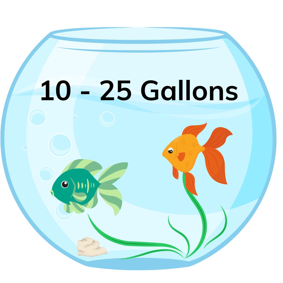 10 - 25 gallon tank