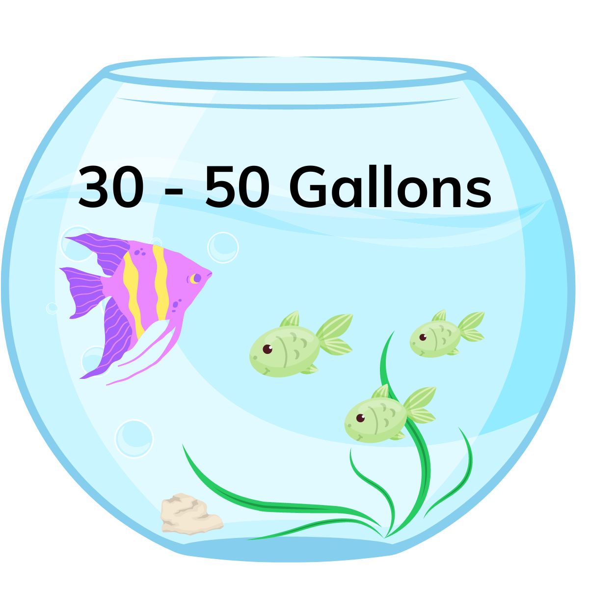 30 - 50 gallon tank