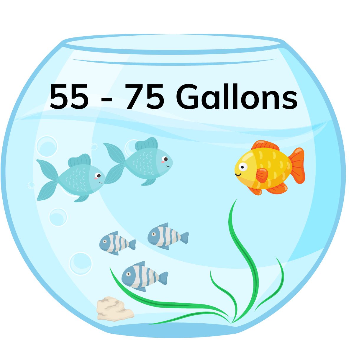 55 - 75 gallon tank
