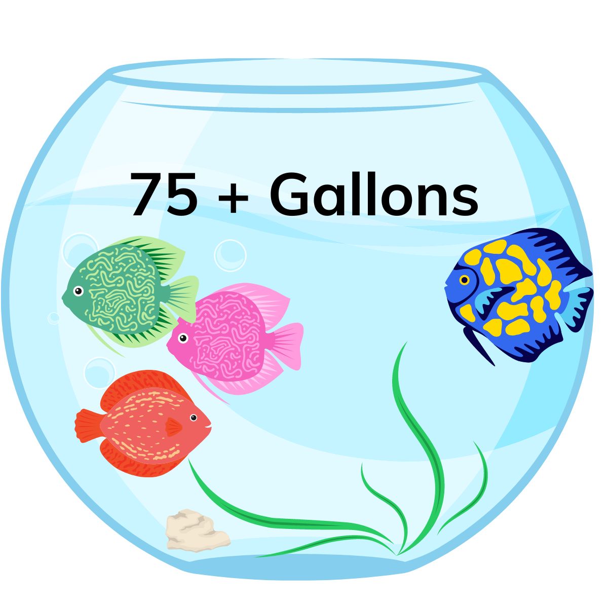 75+ gallon tank