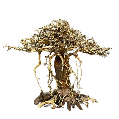 Aquarium Bonsai Driftwood Trees