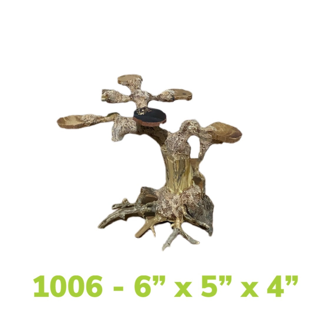 Aquarium Bonsai Driftwood Trees