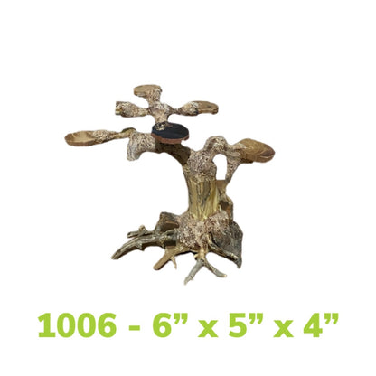 Aquarium Bonsai Driftwood Trees