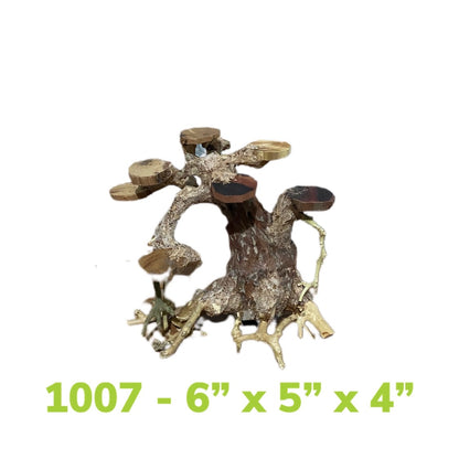 Aquarium Bonsai Driftwood Trees