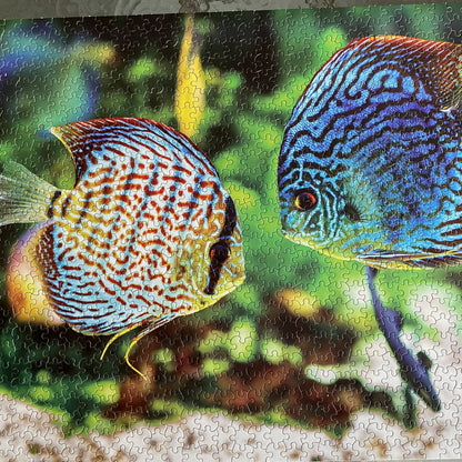 1000-Piece WetPlants Fish Puzzle