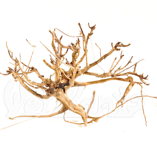 100% real Tigerwood drfitwood for aquascaping
