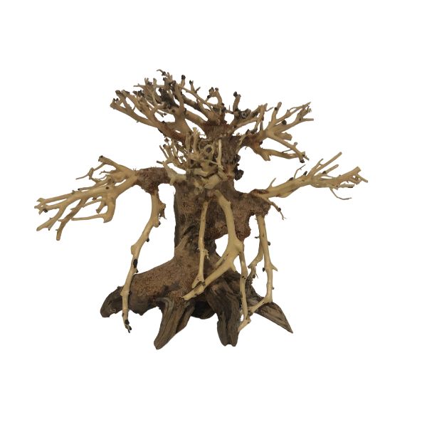 Dragonwood Bonsai Tree Driftwood - 6"