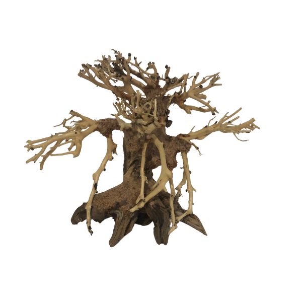 Dragonwood Bonsai Tree Driftwood 6" Wetplants