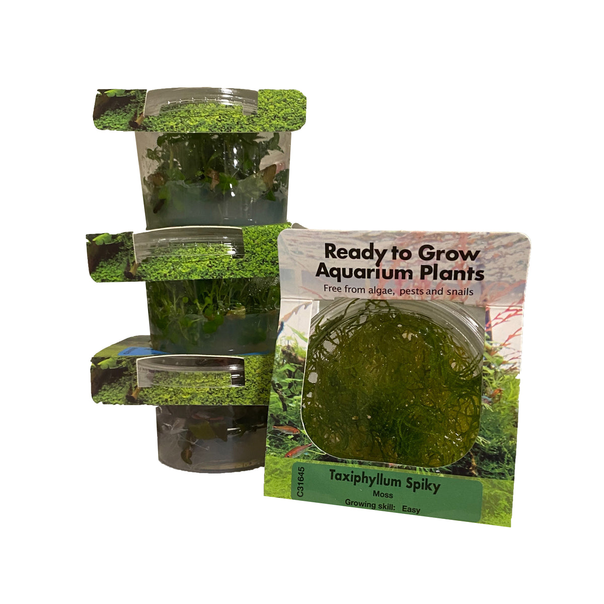 Tissue Culture Mystery 4-Packs