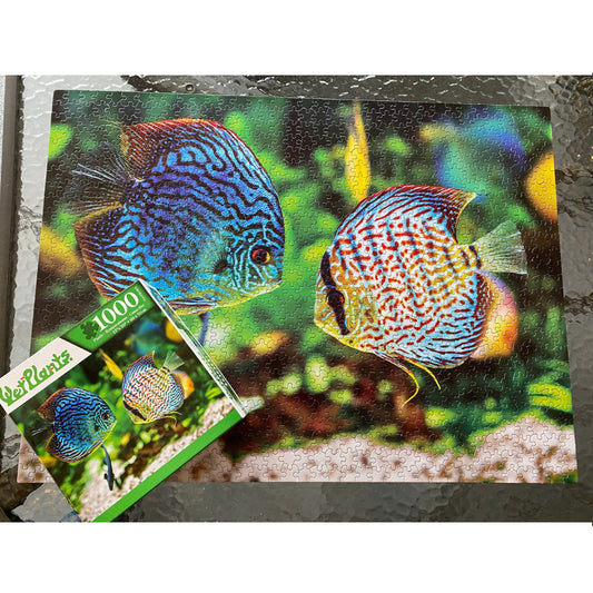 discus fish puzzle